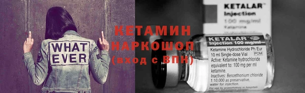крисы Осинники