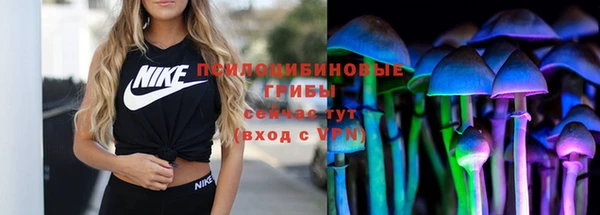 apvp Остров