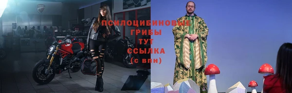 экстази Горняк