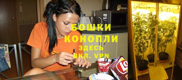 экстази Горняк