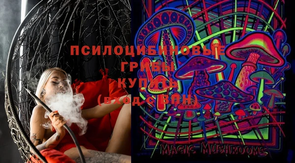 экстази Горняк